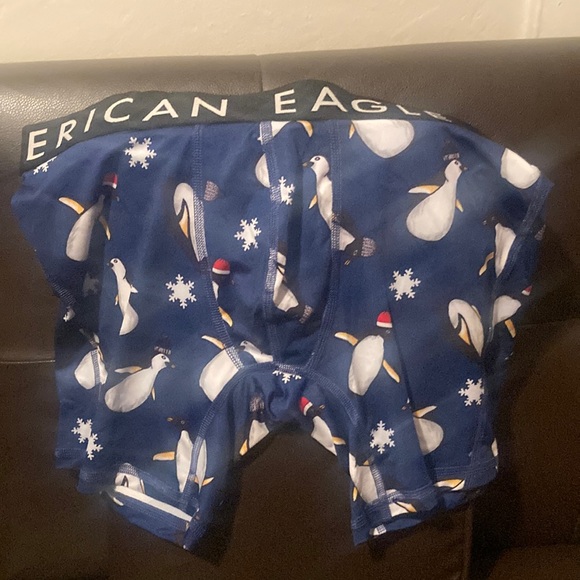 American Eagle Outfitters Other - American eagle boxer Brief